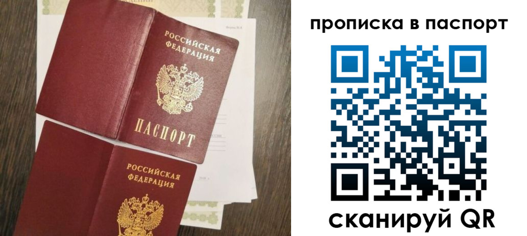 прописка гарантия в Карабаново